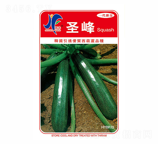 ʥ��-�x�S-��ʢ�S