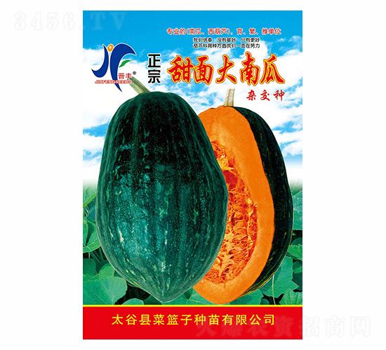 ����������Ϲ�-�x�S-��ʢ�S