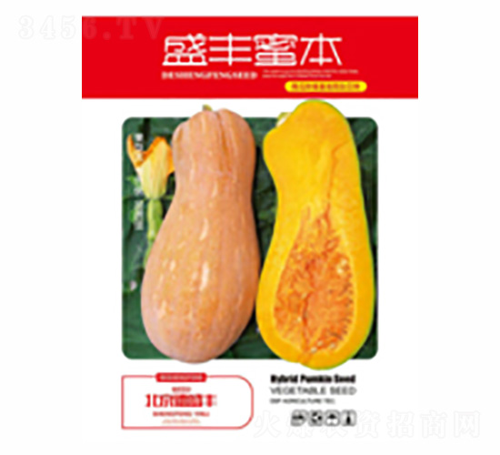 ʢ�S�۱�-��ʢ�S