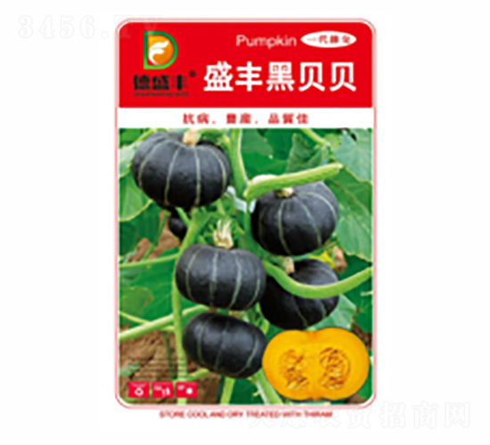 ʢ�S��ؐؐ-��ʢ�S