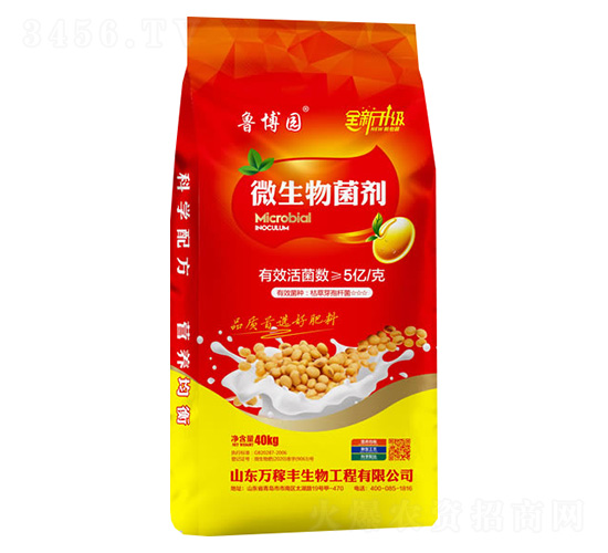 ΢�������-�����@-�f���S