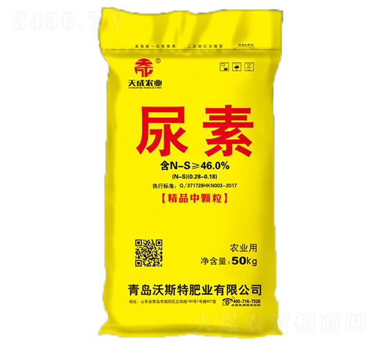 ����-���-��˹��