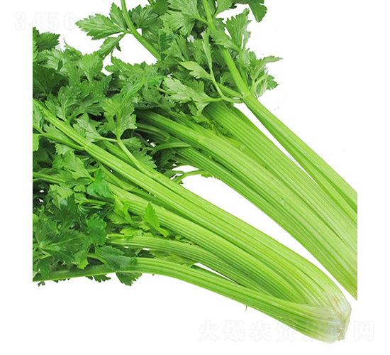 �������-�۲˷N��-���r(n��ng)�r(n��ng)�I(y��)