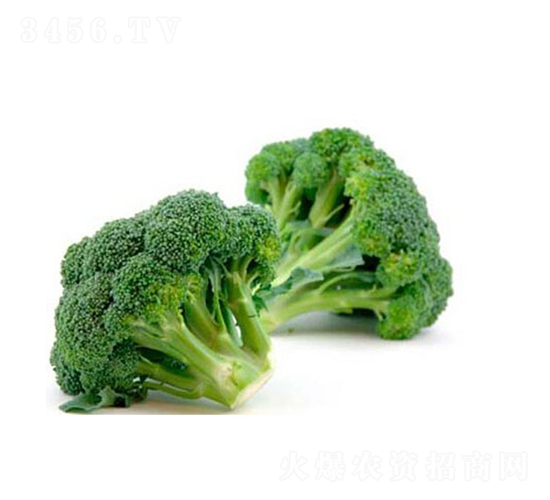 �̷�-���{���N��-���r�r�I(y��)