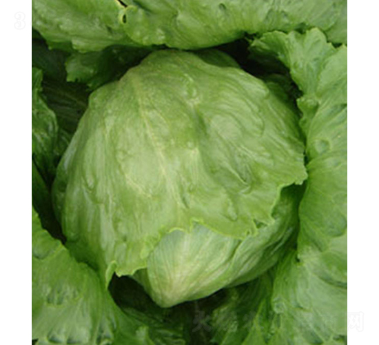 ����-���˷N��-���r(n��ng)�r(n��ng)�I(y��)