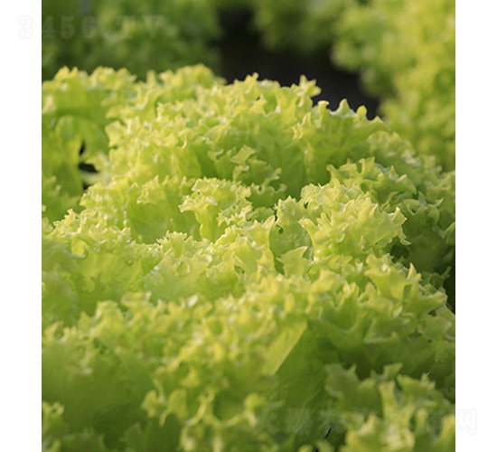 �R�[˹�أ�85-76��-���˷N��-���r(n��ng)�r(n��ng)�I(y��)