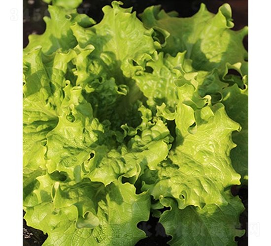 ������-���˷N��-���r(n��ng)�r(n��ng)�I(y��)