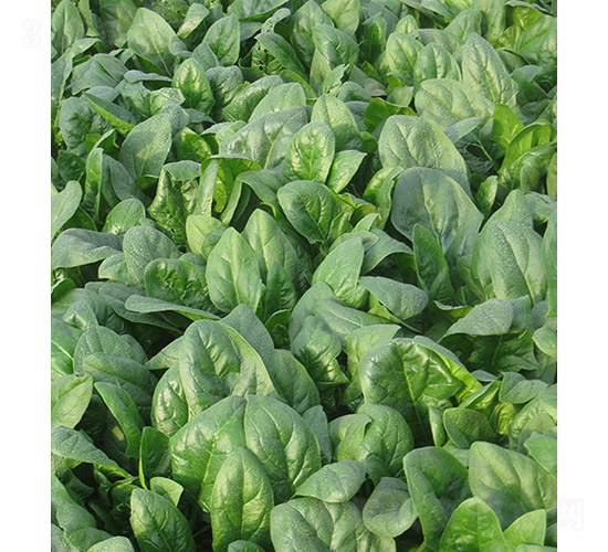 �ǻ�132-���˷N��-���r(n��ng)�r(n��ng)�I(y��)