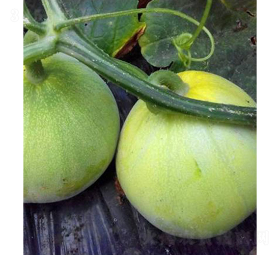 �������-��˷N��-���r�r�I(y��)