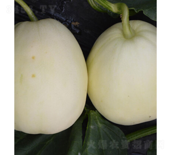 �������-��˷N��-���r(n��ng)�r(n��ng)�I(y��)