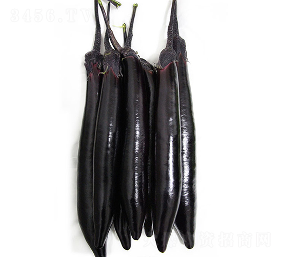 10-602-���ӷN��-���r(n��ng)�r(n��ng)�I(y��)