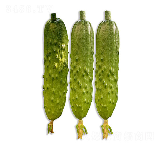 ���r(n��ng)�G��2̖-�S�ϷN��-���r(n��ng)�r(n��ng)�I(y��)