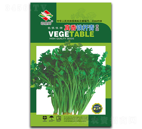 �����F�U��-��˷N��-����ķ