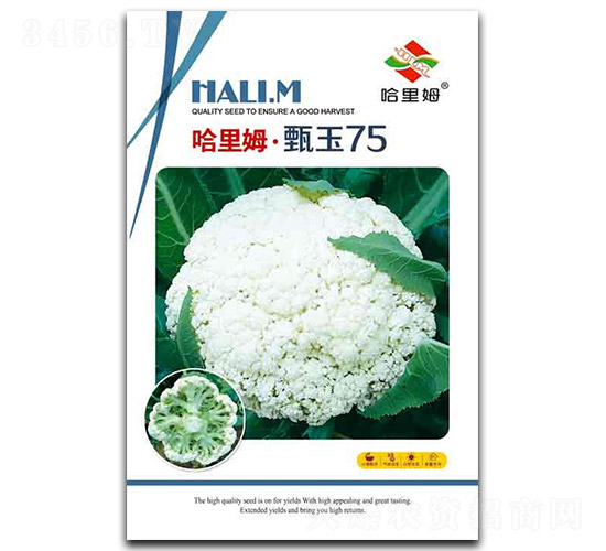 ����75�˻�-�˻��N��-����ķ