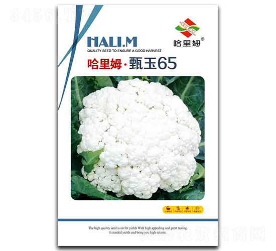 ����65�˻�-�˻��N��-����ķ