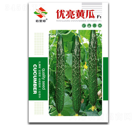 ��(y��u)���S��-�S�ϷN��-����ķ