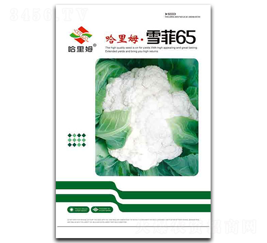 ѩ��65-�˻��N��-����ķ