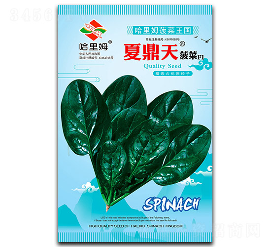 �Ķ��첤��-���˷N��-����ķ