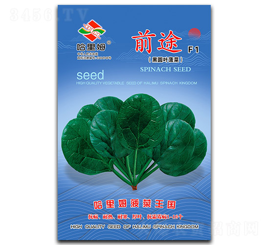 ǰ;-���˷N��-����ķ