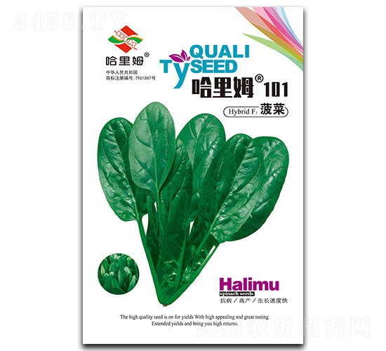 ����ķ101����-���˷N��-����ķ