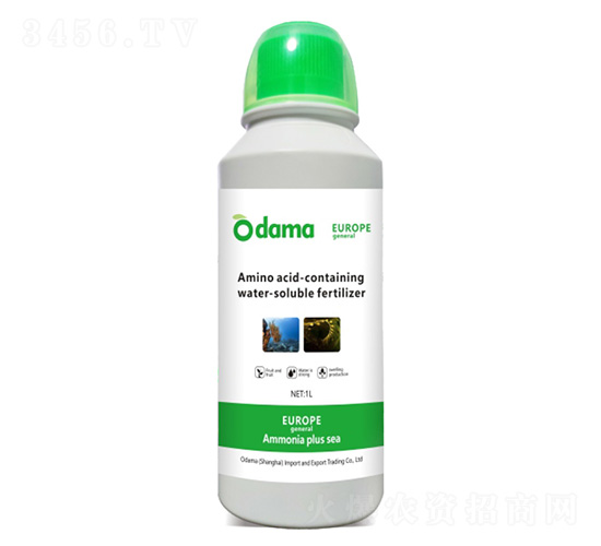 �W�V���Ӻ�-�W����