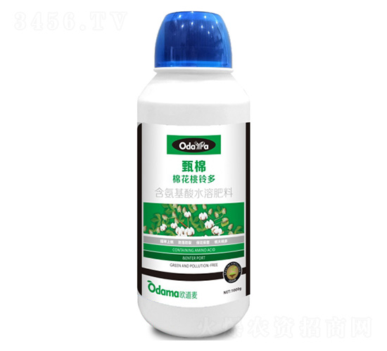 �޻���⏶�-����-�W����