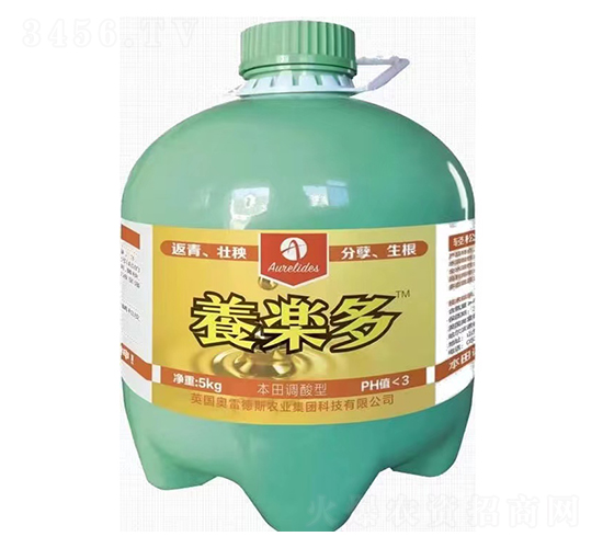 ���w����-�B(y��ng)��(l��)��-�W�׵�˹