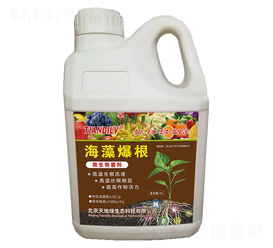 ���屬��-��ؾG