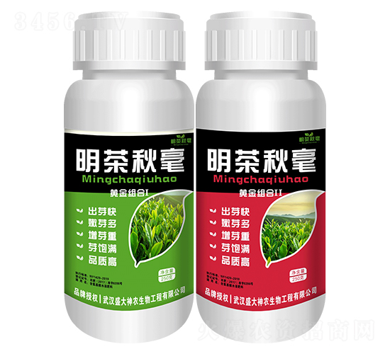 �������-ʢ������