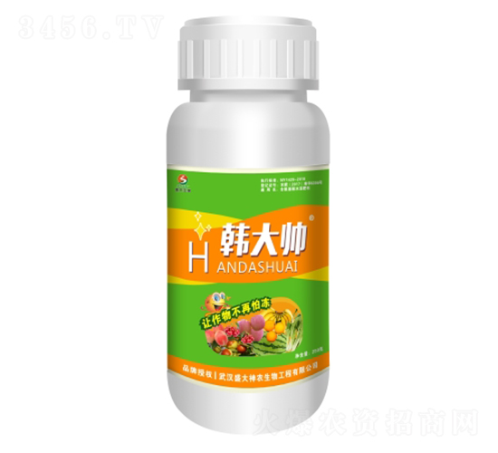 �n��-ʢ������