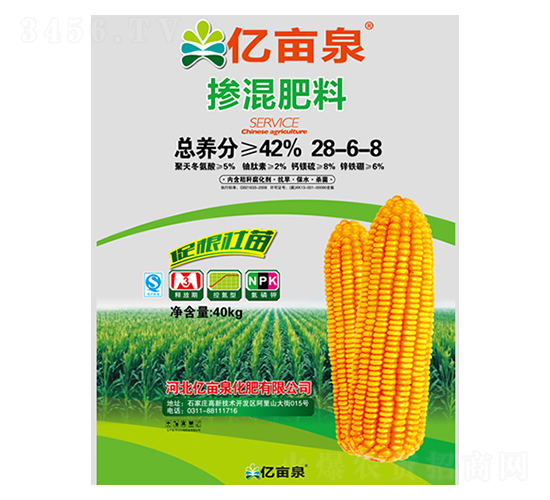 �������28-6-8-�|��Ȫ