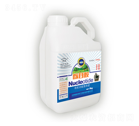 ������-������