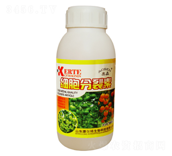 500g����������-������