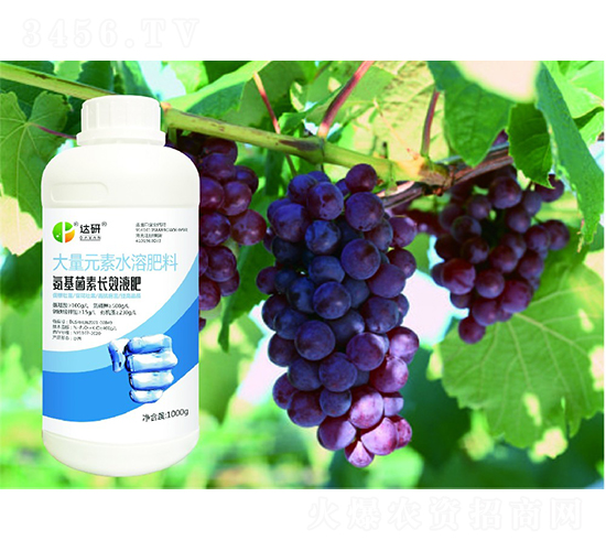 ����Ԫ��ˮ�ܷ���-���������L(zh��ng)ЧҺ��-�_(d��)������