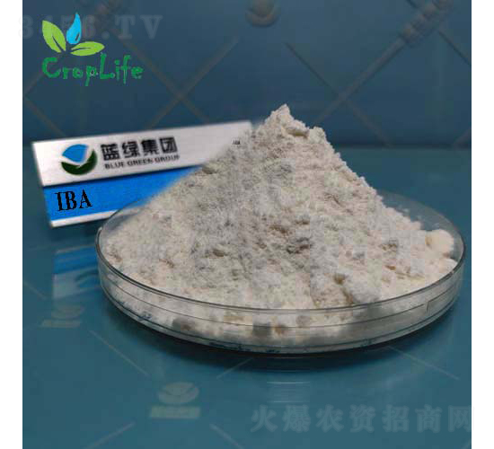 ���ᶡ��-����˹����