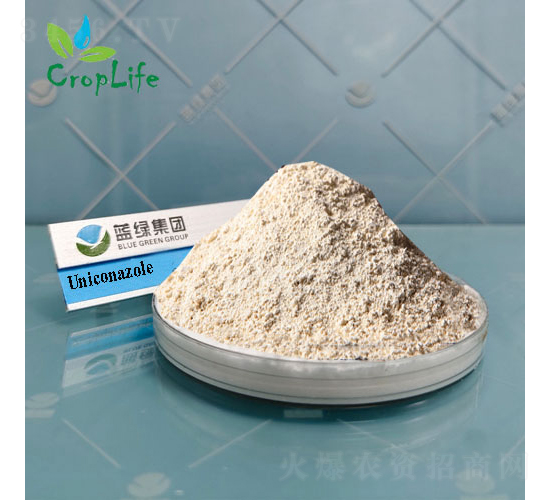 ϩЧ��-����˹����