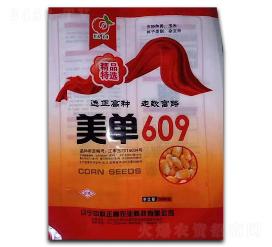 ����609-���ף��s�����N��-�п�����