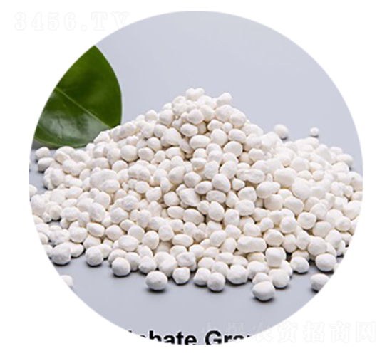 ����⛣����-�۸�˼�_