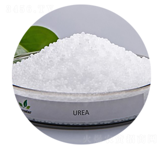 ���أ��w�����w����-�۸�˼�_(d��)