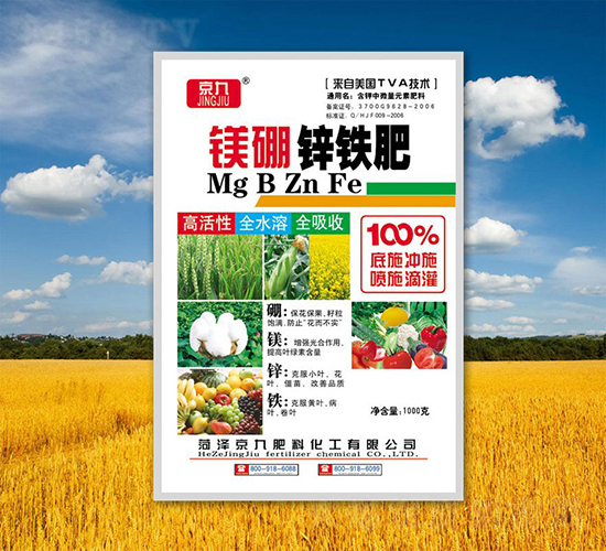 �V���\�F��-����