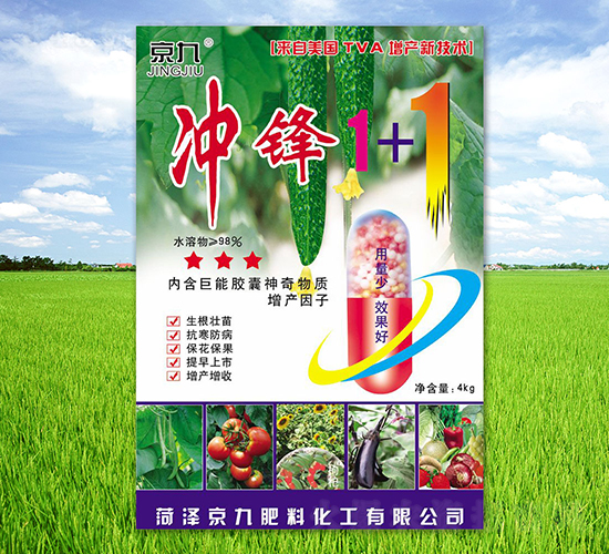 �_�h1+1-����