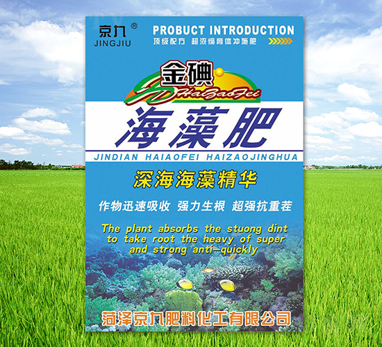 ��⺣���-����