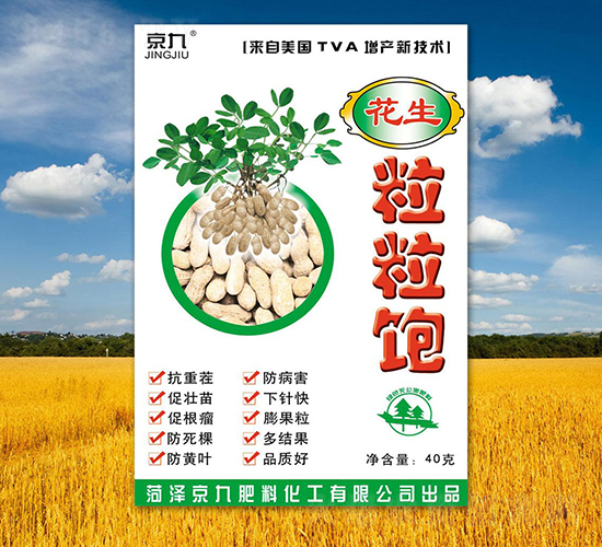 ���������-����