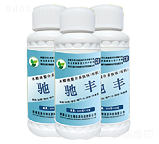 �󗗌�(zhu��n)���Y�S-ʥ�R����