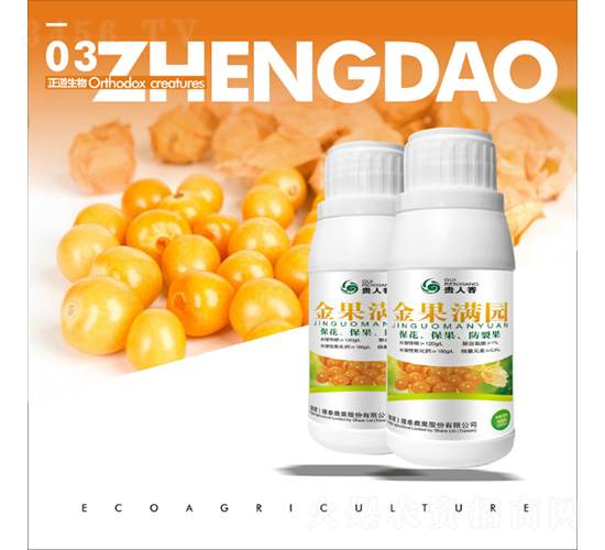 ����M�@-��������