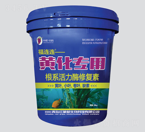 �S�����ø�ϵ����ø�ޏ�(f��)��-���B�B-�t����