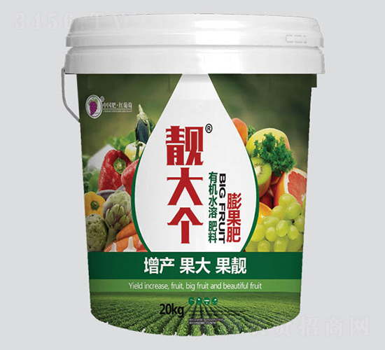 �n�������-�t����