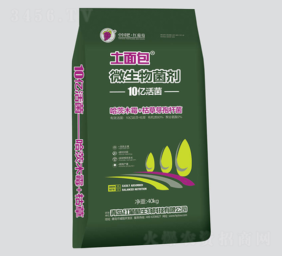 ���������΢�������-�t����