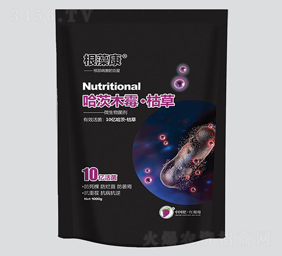 ���念����ľù�ݲ�-�t����