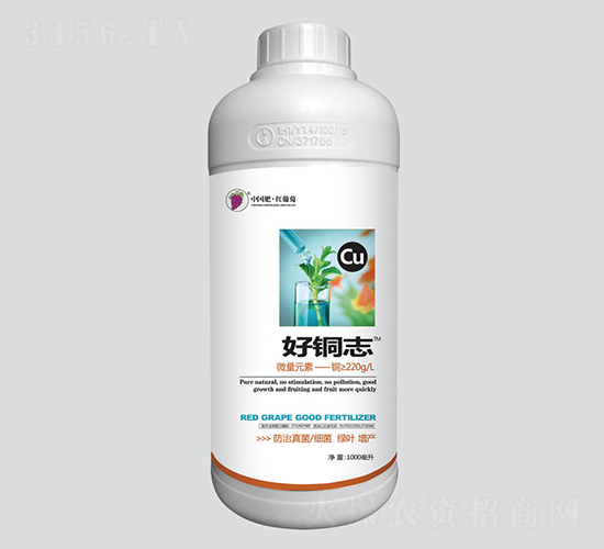 ���~־�~Ԫ��-�t����